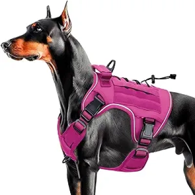 Harnais Tactique Chien de Grandes Races - Anti-Traction MOLLE Réfléchissant