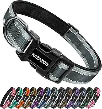 Collier Chien Réfléchissant Kazazoo - Confortable, Ajustable et Sécurisé