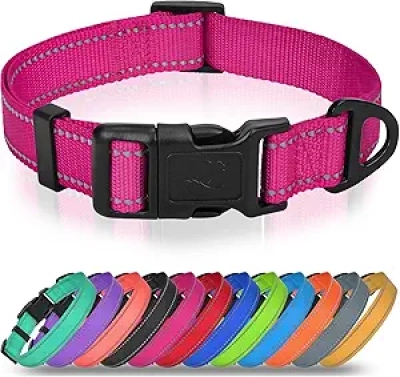 Collier pour petit chien Joytale réfléchissant - Nylon ajustable avec boucle rapide