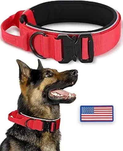 Collier pour Gros Chien Renforcé - Réfléchissant avec Boucle Métal