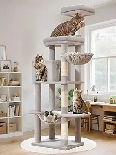 Arbre à Chat Géant 66 pouces MS042W - Tour Multi-Étages pour Grands Chats