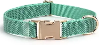 Collier Chien Réfléchissant avec Boucle Métal - Sécurité Nuit