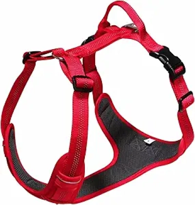 Harnais Anti-Traction pour Grand Chien - Ajustable, Réfléchissant et Respirant L