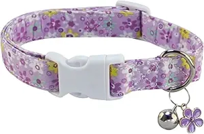 Collier pour Chien Ajustable SuperBuddy - Coton Éco-Responsable Petit/Moyen/Grand