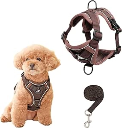 Harnais Petit Chien SOLMOONY - Anti-Évasion, Réfléchissant et Confortable (S)