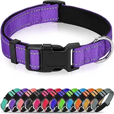Collier Chien Réfléchissant Néoprène Violet - Sécurité Nuit