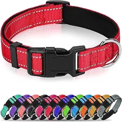 Collier Chien Réfléchissant Neoprène - Taille M - Sécurité Nocturne