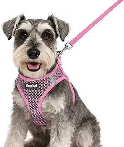 Harnais et Laisse pour Petit Chien Eagloo - Gilet Respirant Rose Taille S