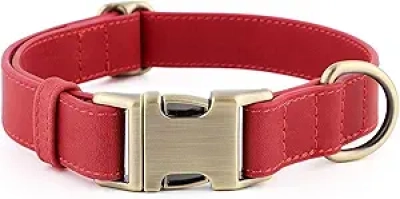 Collier Chien Cuir Véritable Plutus Pet - Ajustable S, Boucle Rapide