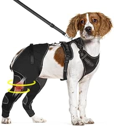 Genouillère pour chien XL - Orthèse ACL ligament croisé | Maintien articulaire chaud et stable