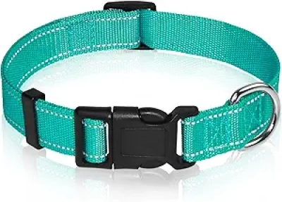 Collier de chien réfléchissant ajustable - XS à XL