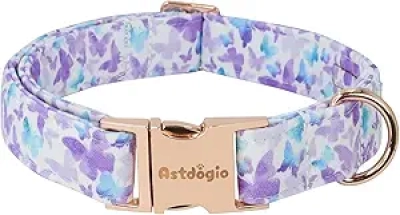 Collier Papillon Chien XS Coton - Dégradé Violet Bleu Ajustable
