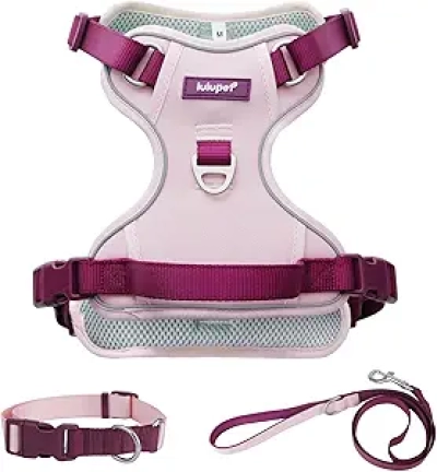 Harnais Anti-Traction pour Chien Rose S + Laisse + Collier - Ensemble Complet