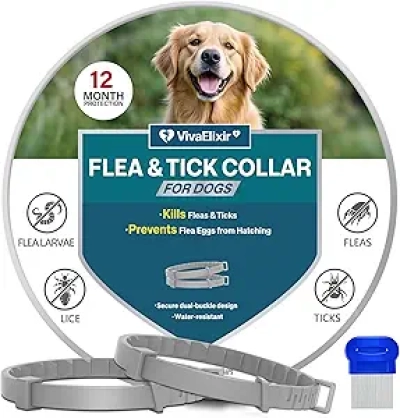 Collier Antiparasitaire Chien 12 Mois - Protection Puces et Tiques Waterproof