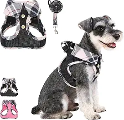 Harnais pour petit chien KOOLTAIL - Gilet respirant sans traction taille S