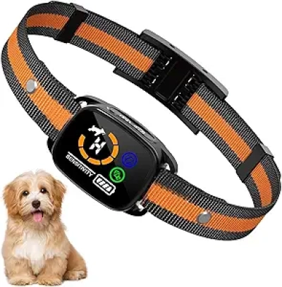 Collier Anti-Aboiement pour Petit Chien sans Choc - Dressage Intelligent