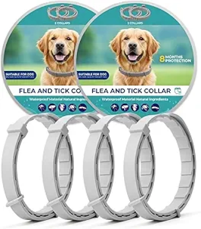 Collier Anti-Puces Chien Naturel 8 Mois - Waterproof & Ajustable (4 pièces)