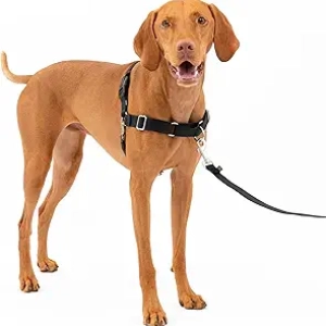 Harnais Anti-Traction PetSafe Easy Walk - Taille M Noir/Argent