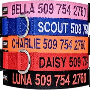 Collier Chien Personnalisé GoTags - Broderie Nom et Téléphone