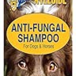 Happy Jack Xylecide - Shampoing Anti-Démangeaisons pour Chien 355ml