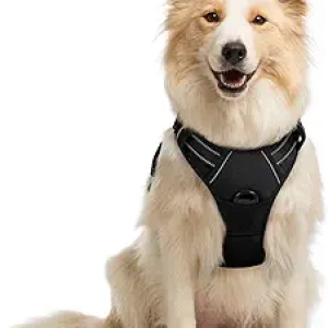 Harnais Chien Medium rabbitgoo No Pull - Gilet Réfléchissant Ajustable