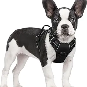 Harnais Rabbitgoo anti-traction pour petit chien - S - Noir réfléchissant