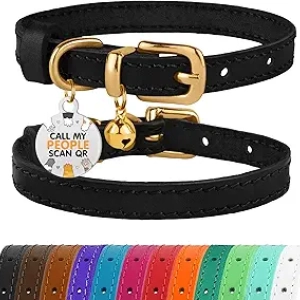 Collier Cuir Chat BRONZEDOG avec Grelot et Tag QR - Noir & Or (9-12 pouces)