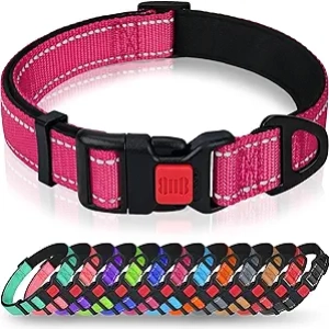 Collier Chien Réfléchissant Taglory Rose - Grand Chien, Sécurité Nuit