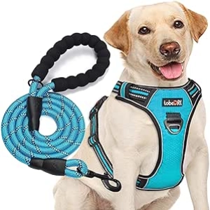 Harnais Anti-Traction Chien Ajustable Réfléchissant - M/L avec Laisse