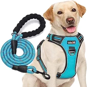Harnais Chien Anti-Traction Réfléchissant - Moyen/Grand - Confortable et Sécurisé