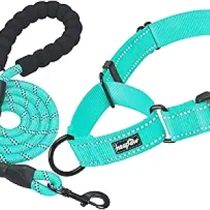 Collier de Dressage Martingale pour Chien - 2 Pack Reflétant