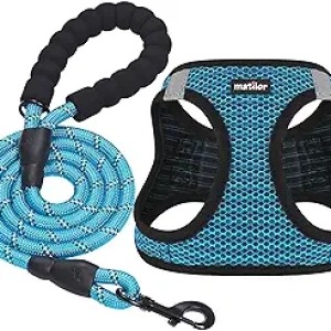 Harnais Chien Respirant Step-in Bleu - Petit/Moyen Chien et Chat