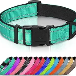 Collier Chien Réfléchissant Joytale - Néoprène Rembourré Taille L