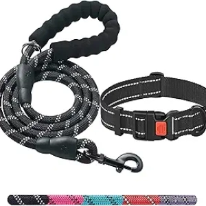 Laisse Chien Robuste 1,5m Poignée Rembourrée + Collier Offert - Toutes Tailles