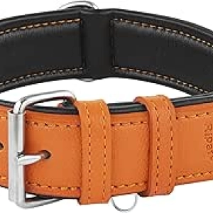 Collier Chien Cuir Orange Rembourré - Collier Robuste pour Petit, Moyen et Grand Chien