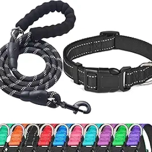 Collier Chien Réfléchissant Néoprène Rembourré - Medium