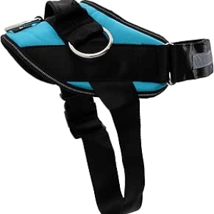 Harnais Anti-Traction ShawnCo Essential pour Chien - Taille S Bleu