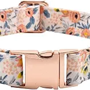 Collier de Chien avec Boucle Métal Ajustable - Petit, Moyen, Grand Chien