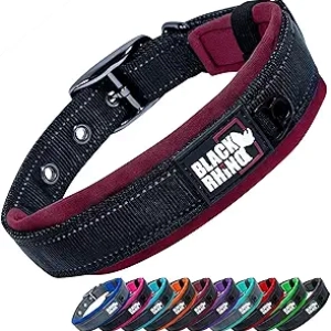 Collier pour Grand Chien Black Rhino - Rembourrage Néoprène Réfléchissant