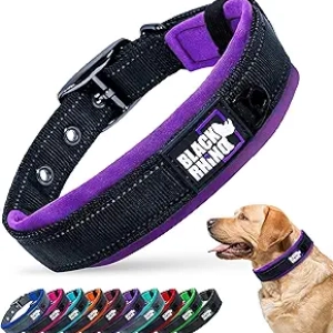 Collier pour Chien Black Rhino Réfléchissant - Medium Violet/Noir
