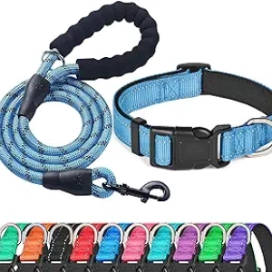 Collier de Chien Réfléchissant Bleu - Néoprène Rembourré Confortable