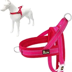 Harnais Anti-Traction pour Chien Plutus Pet - Confortable et Sécurisé