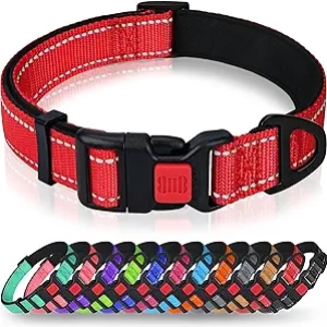 Collier pour Grand Chien Réfléchissant avec Boucle de Sécurité - Taglory XL