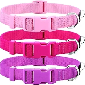 Lot de 3 Colliers pour Chien Ajustables - Rose, Rose Vif et Violet