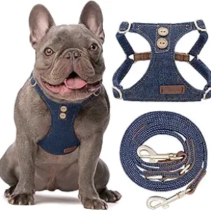 Harnais Anti-Traction Chien Moyen – Confortable & Sécurisé | Puppytie