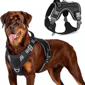 Harnais Tactique pour Grand Chien rabbitgoo - Anti-Traction Réfléchissant L