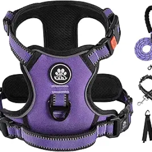 Harnais Anti-Traction pour Chien Moyen IVY&LANE - Violet M avec Laisse