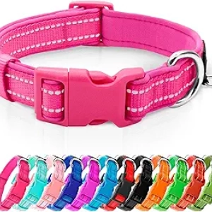Collier Chien Réfléchissant Rose Fluo - Petit Chien Ajustable avec Anneau ID