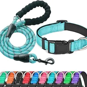 Collier chien réfléchissant rembourré néoprène M/L 19-23.5" + laisse