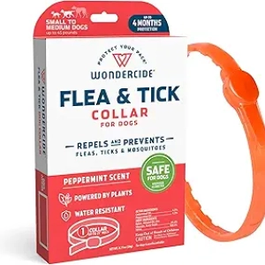 Collier Antiparasitaire Naturel pour Chien - Protection 4 Mois Puces & Tiques